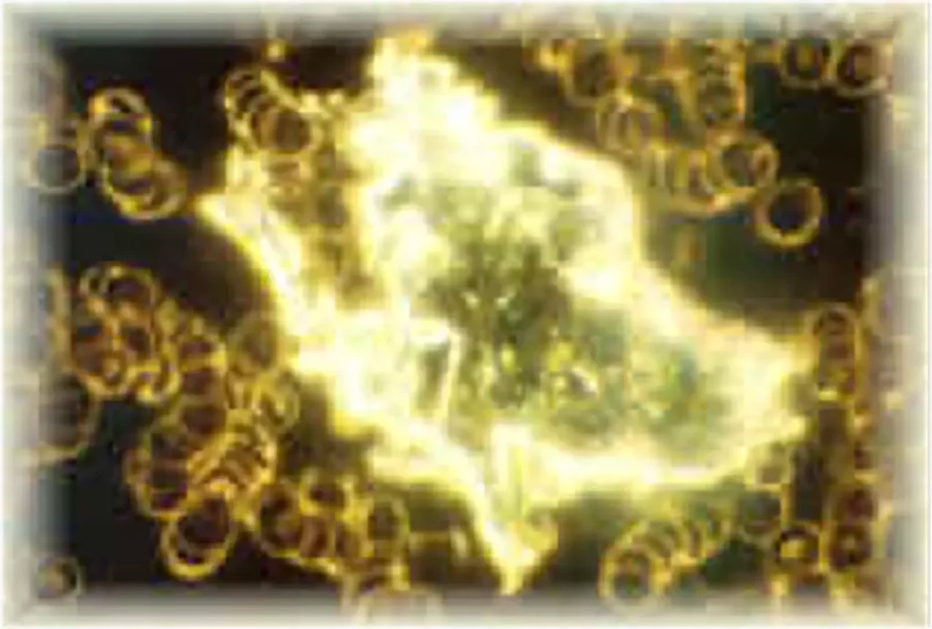 Mikroskopische Aufnahme von leuchtenden Zellen und runden Strukturen vor dunklem Hintergrund