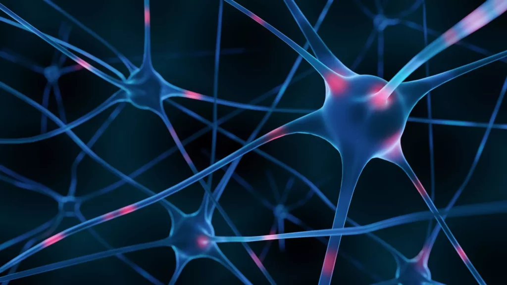 3D-Render von aktiven Nervenzellen mit leuchtenden Verbindungen in Blau und Rot auf dunklem Hintergrund