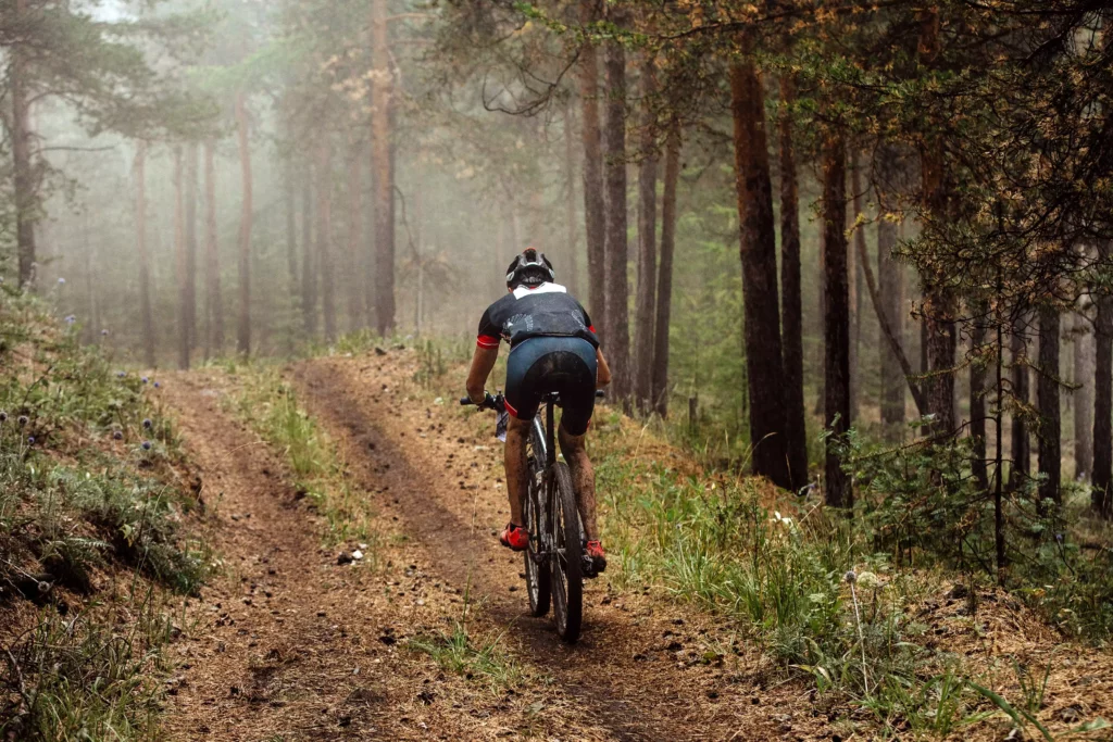 Mountainbiker fährt auf schmalem Waldweg durch nebligen Nadelwald, Naturerlebnis für Aktivurlaub im Reisebüro-Angebot
