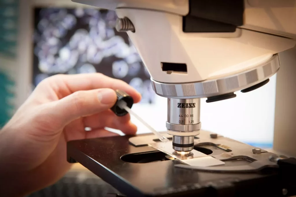 Hand hält Pipette über Objektträger auf dem Tisch eines Zeiss-Mikroskops in Nahaufnahme