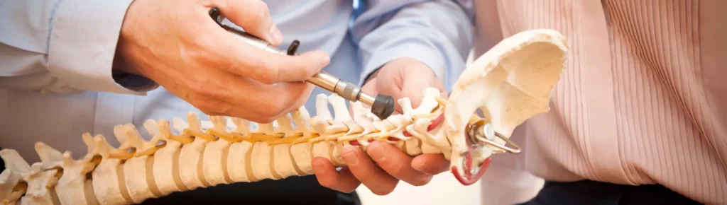 Chiropraktiker zeigt Wirbelsäulenmodell und erklärt sanfte Chiropraktik zur Behandlung von Rückenproblemen in Bayern