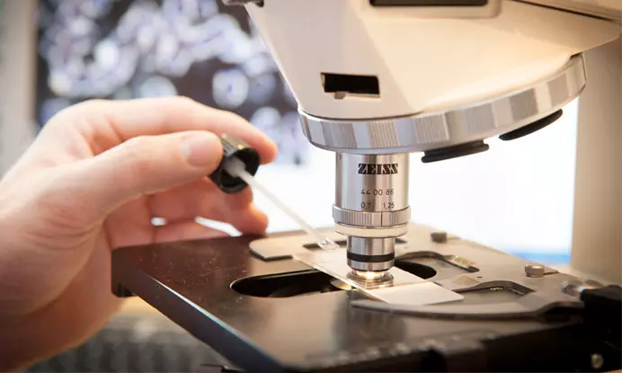 dunkelfeldmikroskopie-in-bayern Dunkelfeldmikroskopie in Bayern